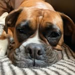 Linda Haas - @linda.haas.71 - Instagram