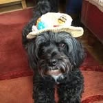 Lindy Jackson - @lynda.spaven - Instagram