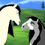 lindy.jackson.horsepage - @lindy.jackson.horsepage - Instagram