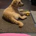 Lindy Jones - Facebook
