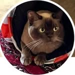 Lindy King - @lindyking23866 - Instagram