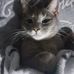 Lindy Laubscher - Facebook