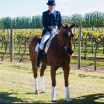 Lindy Launer - @lindylauner - Instagram