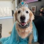 Lindy Laurenti - @lindy.laurenti - Instagram