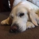 Lindy Newman - @lindy.newman - Instagram