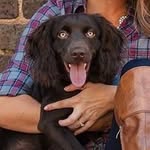 Lindy Ruff Cleary - @lindyruff - Instagram