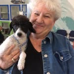 Linda Stone - @linda.stone.7773 - Instagram