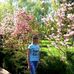 Linda Taylor - Facebook