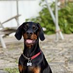 Lindy Taylor - @lindy.taylor.984 - Instagram