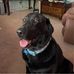 Lindy Wright - Facebook