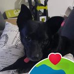 Linette Hernandez - @linetteher12021 - Instagram