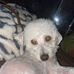 Linette Soto - Facebook