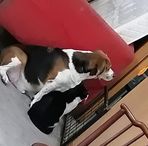 Ling Chan - Facebook