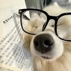 Ling Lei - Facebook