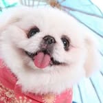 Ling Mak - @luvkylingmak - Instagram