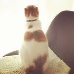 Ling Yuen - @lingyuen1111 - Instagram