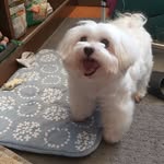 ling yuen - @lingyuen1971 - Instagram
