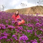Linh My Dam - @linhdam2810 - Instagram