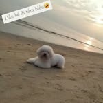 @linhd.am - Instagram