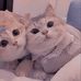 LinLin Maw - Facebook