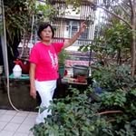Linma Lin - @lin.linma - Instagram