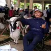 septian kjm - @linlin.ma - TikTok