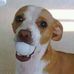 Linn Hudson - Facebook