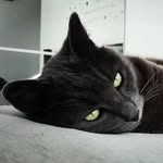 *¨`*♥Linnalou 🍒 ♥ ヅ - @linnaloucerise - Instagram