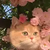 linna lou - @linna.lou0 - TikTok