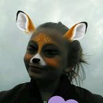 linneacamp - @linneacamp12 - Instagram