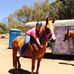 Linnea Edwards - Facebook