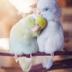 Linnette Morales - @linnette775 - Instagram