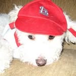 Linnie Morgan - @cardsfanstlllm - Instagram