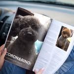 colon_lino - @colon_lino - Instagram