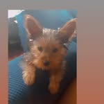 Lino colon - @lino.colon0228 - Instagram