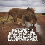 Jose Alvaro Lino Dominguez - @josealvarolinodominguez - Instagram