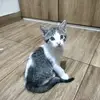 Lino Rios - @lino.rios0 - TikTok
