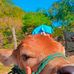 Lino Rios - Facebook
