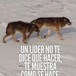 Lino Rios - @riosrios247 - Instagram