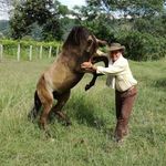 Hugo Lino Sandoval Rojas - @hugolinosandoval - Instagram