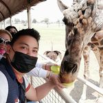 Lino Sandoval - @lino.sandoval.5095 - Instagram