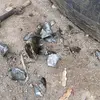 chapín502 - @jubelinosolis - TikTok