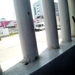 Lino Solis - @moisesrobles398 - Instagram