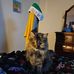 Lindsey Brown - Facebook