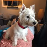 Linsey Brown - @brown_linsey - Instagram