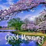 Linson Mathew - Facebook