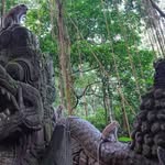 Linus Chow - @l.chow8 - Instagram