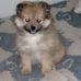 Linwood Perry - Facebook