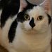 Linwood White - Facebook