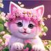 Darling Linsy - Facebook